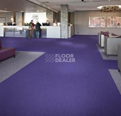 Forbo Flotex Colour Penang 50*50 t 382024 Penang Purple фото 2 | FLOORDEALER